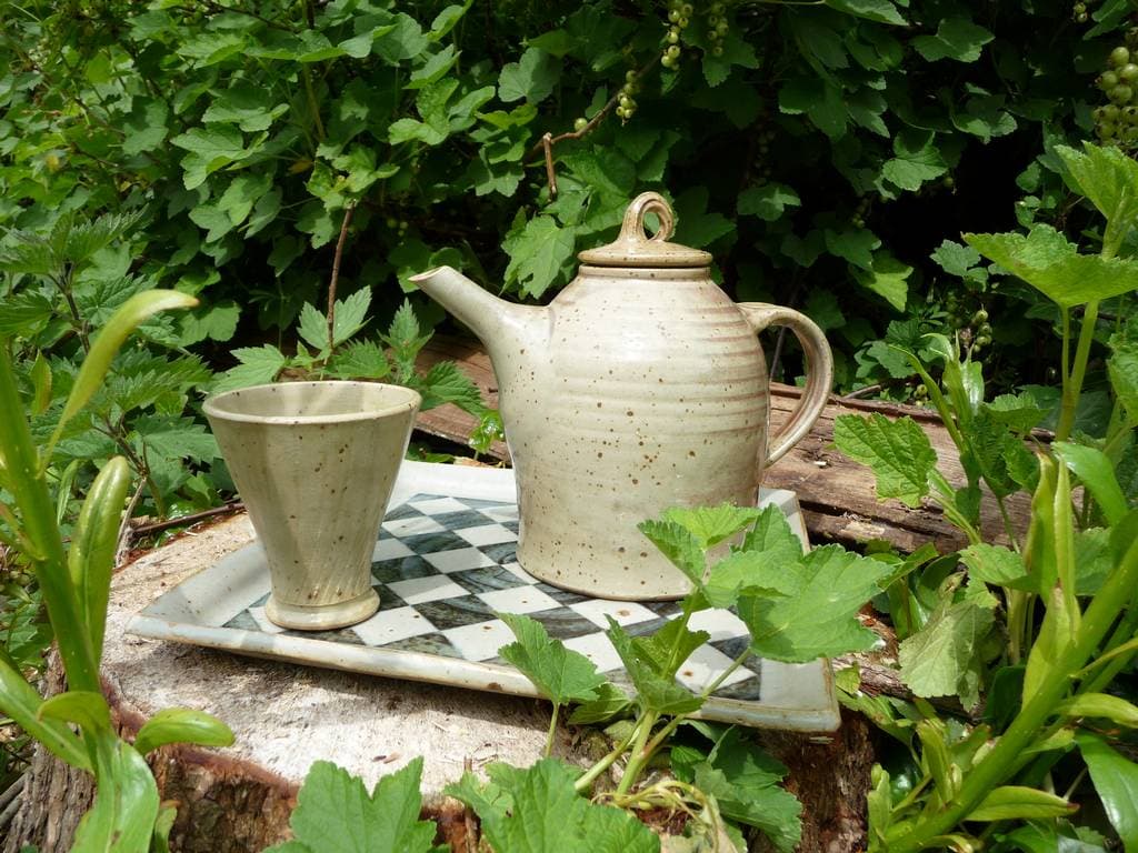 Theepot en beker op een geblokt dienblad tussen het groen