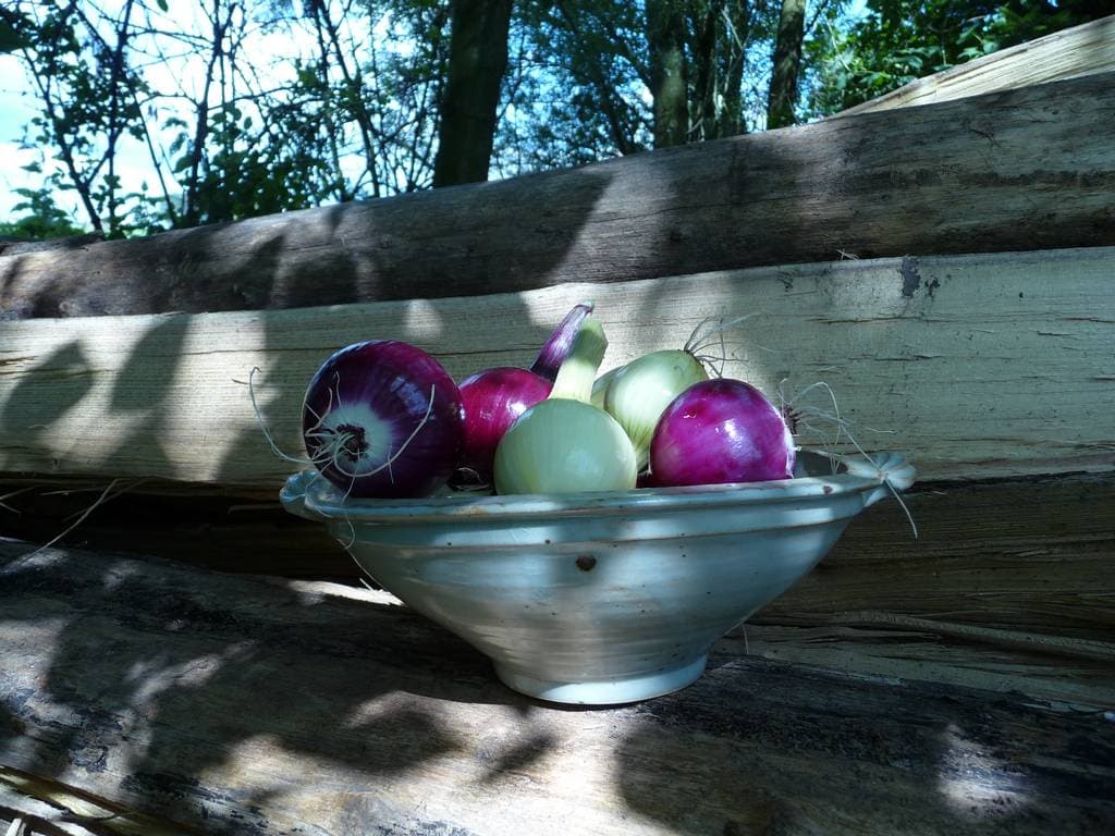 pottery