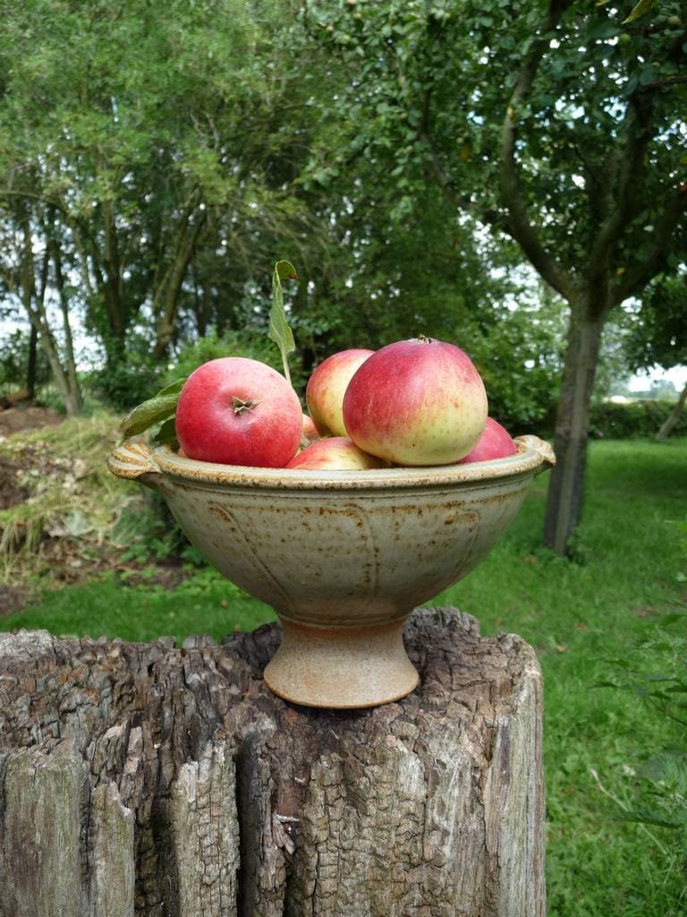 pottery